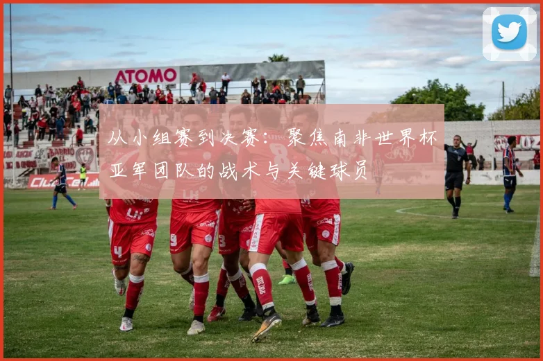 从小组赛到决赛：聚焦南非世界杯亚军团队的战术与关键球员