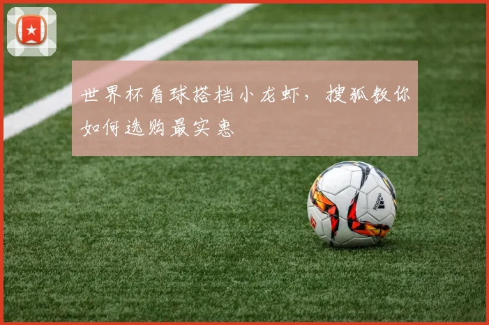 世界杯看球搭档小龙虾，搜狐教你如何选购最实惠