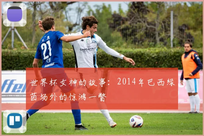世界杯女神的故事：2014年巴西绿茵场外的惊鸿一瞥
