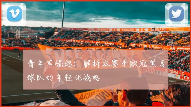 青年军崛起：解析本赛季欧冠黑马球队的年轻化战略