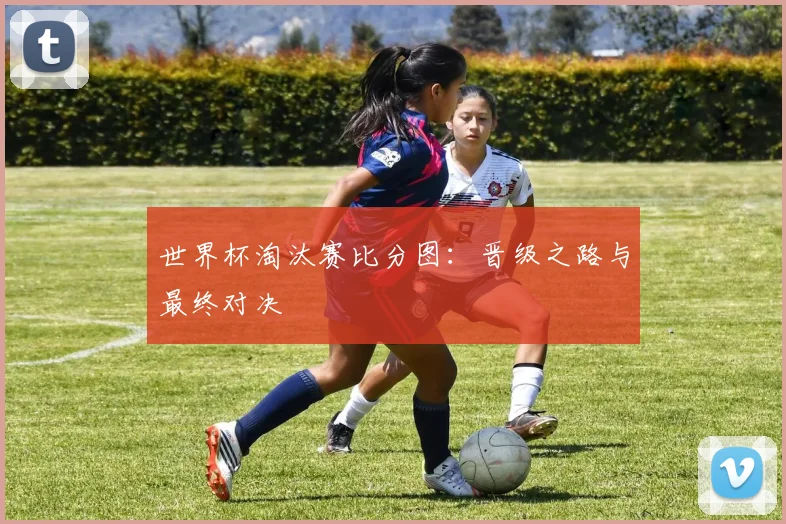 世界杯淘汰赛比分图：晋级之路与最终对决