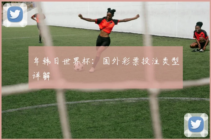 年韩日世界杯:国外彩票投注类型详解