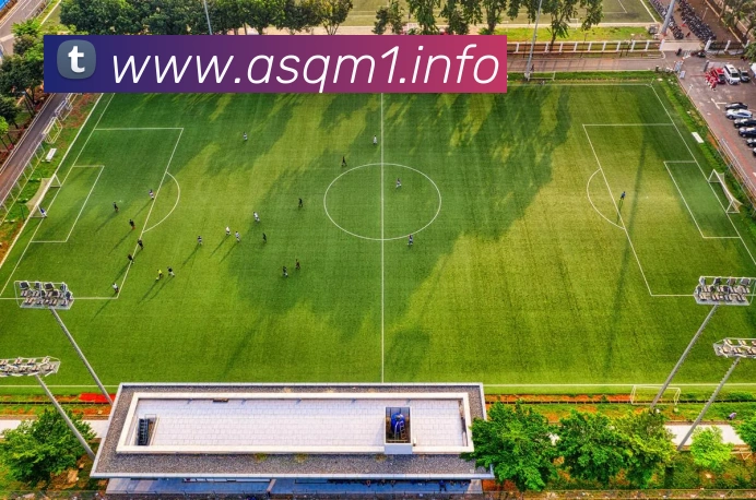 九游j9官方登录入口平台生态图